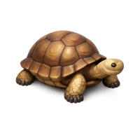 Giant Tortoise 3D icon