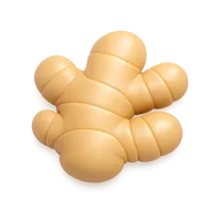 Ginger Root 3D icon