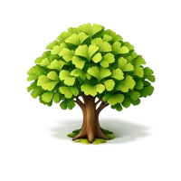 Ginkgo Tree 3D icon