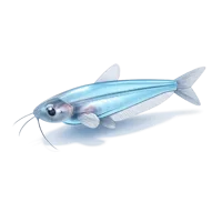 Glass Catfish 3D icon