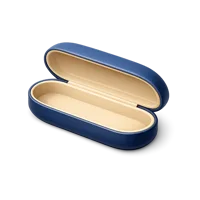 Glasses Case 3D icon
