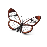 Glasswing Butterfly 3D icon