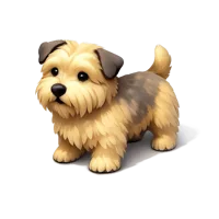 Glen Of Imaal Terrier 3D icon