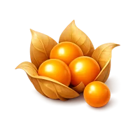 Golden Berries 3D icon