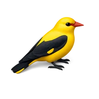 Golden Oriole 3D icon