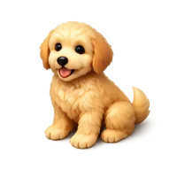 Goldendoodle 3D icon