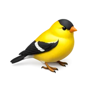 Goldfinch 3D icon