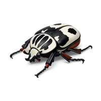Goliath Beetle 3D icon