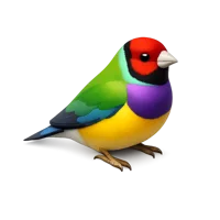 Gouldian Tit 3D icon