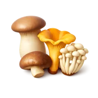 Gourmet Mushrooms 3D icon