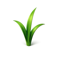 Grass Blade 3D icon