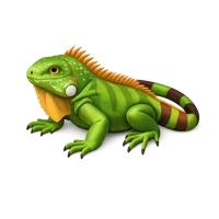 Green Iguana 3D icon