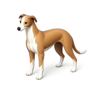 Greyhound 3D icon