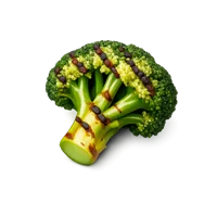 Grilled Broccoli 3D icon