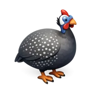 Guineafowl 3D icon