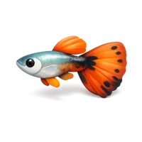 Guppy 3D icon