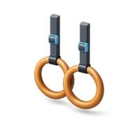 Gymnastics Rings 3D icon