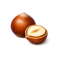 Hazelnut 3D icon