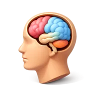 Head Diagram 3D icon