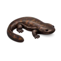 Hellbender 3D icon