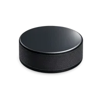 Hockey Puck 3D icon