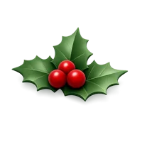 Holly 3D icon
