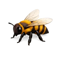 Honey Bee 3D icon