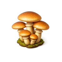 Honey Mushroom 3D icon