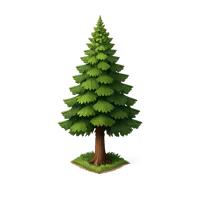 Hoop Pine 3D icon