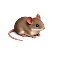 House Mouse 3D icon
