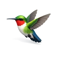 Green Hummingbird 3D icon