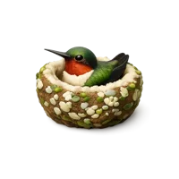 Hummingbird Nest 3D icon