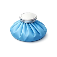 Ice Bag 3D icon