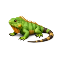 Iguana 3D icon