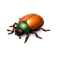Insect 3D icon