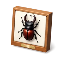 Insect Display 3D icon
