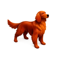 Irish Setter 3D icon
