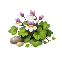 Ivy-Leaved Toadflax 3D icon