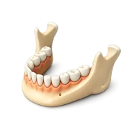 Jaw 3D icon