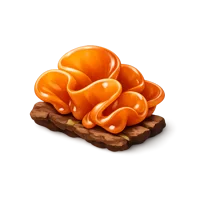 Jelly Fungus 3D icon
