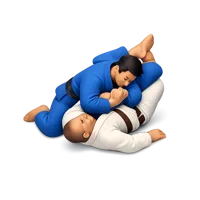Jiu Jitsu 3D icon