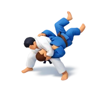 Judo 3D icon