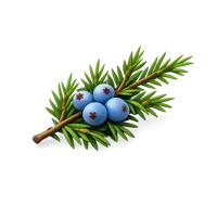Juniper Branch 3D icon