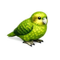 Kakapo 3D icon