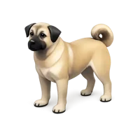 Kangal Dog 3D icon