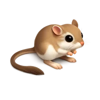Kangaroo Rat 3D icon