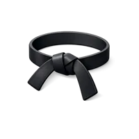 Karate Belt 3D icon