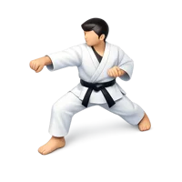 Karate 3D icon
