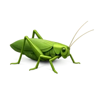 Katydid 3D icon