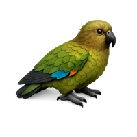 Kea 3D icon